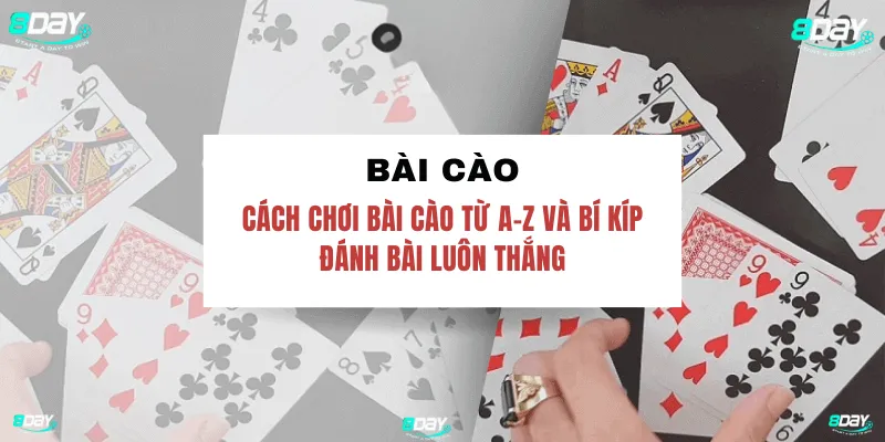 Tại Sao Nên Thử Bài Cào, 8Day?