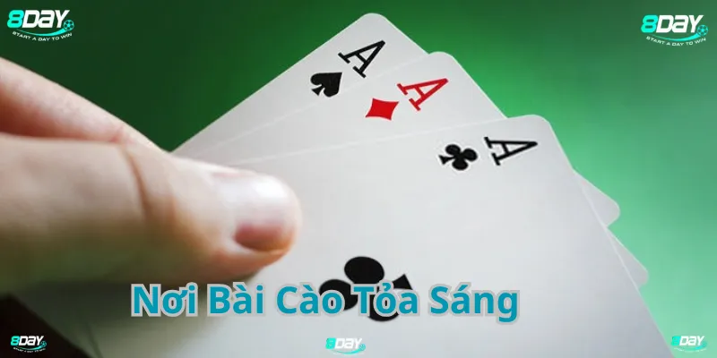 Nơi Bài Cào Tỏa Sáng